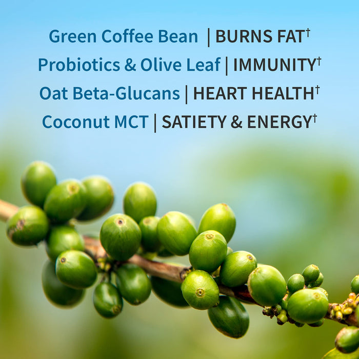 Garden of Life Raw Organic Fit, Vanilla - 930g | High-Quality Protein Blends | MySupplementShop.co.uk