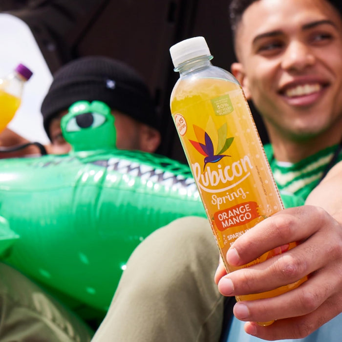 Rubicon Spring 12 x 500ml - Sparkling Spring Water with Real Fruit Juice & Natural Flavours