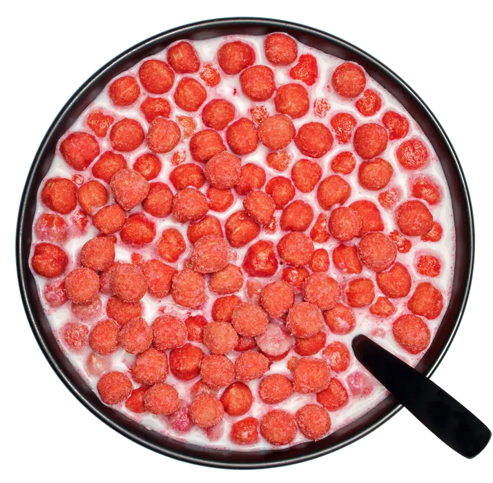 Eleat Céréales équilibrées et riches en protéines 250 g de chocolat