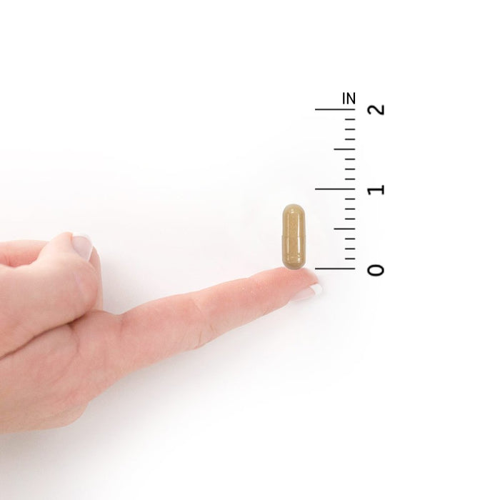 Garden Of Life Garden of Life Raw Probiotics Colon Care 30 Caps