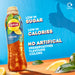 Lipton Ice Tea 24 x 500ml