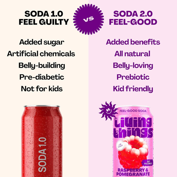 Living Things Prebiotic Drink 12x330ml - Sports Nutrition at MySupplementShop by Living Things