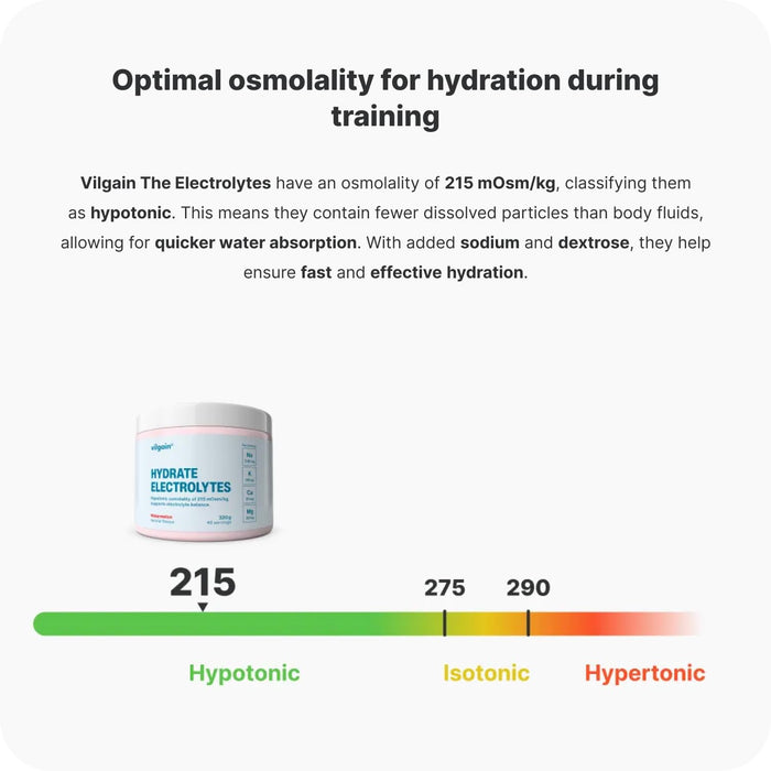 Vilgain Hydrate Electrolytes 320g