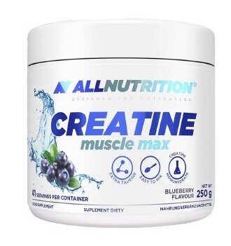 Creatine Muscle Max, Blueberry - 250g