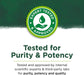 Swanson Liquid Chlorophyll 100 mg 16 fl oz Liquid | Premium Supplements at MYSUPPLEMENTSHOP.co.uk