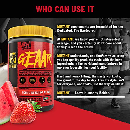 MUTANT GEAAR EAA & BCAA Powder - 30 Servings, Tiger's - Amino Acids and BCAAs at MySupplementShop by Mutant