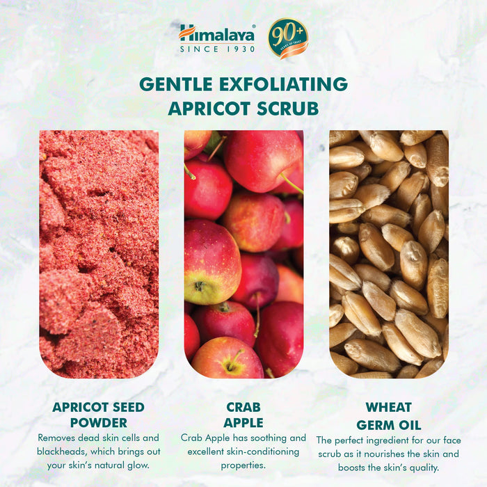 Himalaya Gentle Exfoliating Apricot Scrub - 75 ml. | High-Quality Sports Supplements | MySupplementShop.co.uk