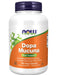 NOW Foods DOPA Mucuna - 180 vcaps - Amino Acids and BCAAs at MySupplementShop by NOW Foods