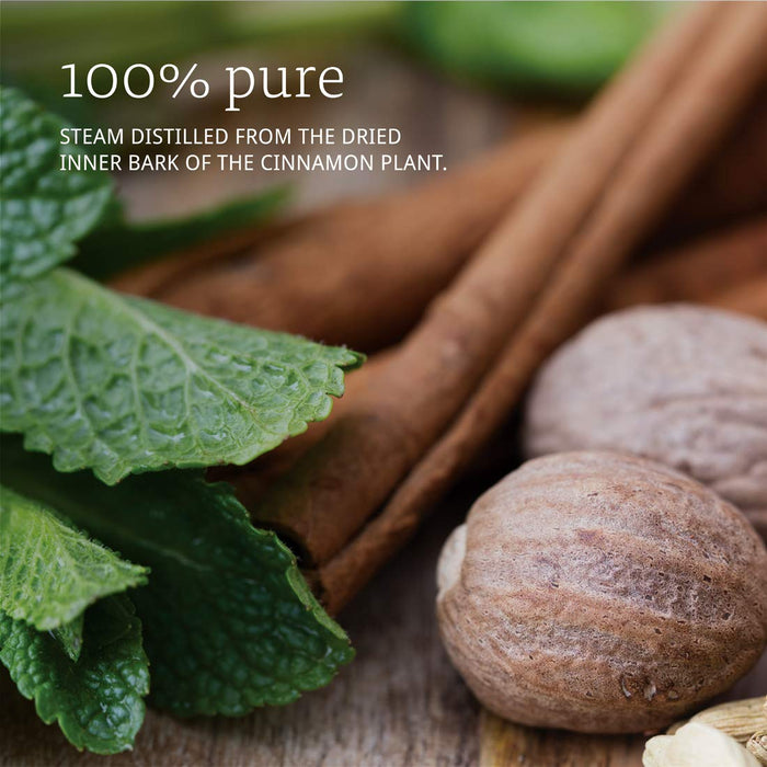 NOW Foods Essential Oil, Cinnamon Bark Oil - 30 ml. - Health and Wellbeing at MySupplementShop by NOW Foods