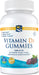 Nordic Naturals Vitamin D3 Gummies, 1000 IU Wild Berry - 120 gummies - Vitamins & Minerals at MySupplementShop by Nordic Naturals