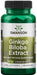 Swanson Ginkgo Biloba Extract 24%, 60mg - 120 caps - Health and Wellbeing at MySupplementShop by Swanson