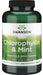Swanson Chlorophyllin & Mint - 500 chewable tablets | High-Quality Sports Supplements | MySupplementShop.co.uk