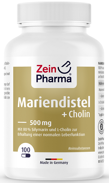 Zein Pharma Milk Thistle + Choline, Liver Complex - 100 caps | High-Quality Sports Supplements | MySupplementShop.co.uk